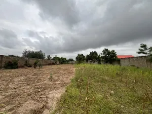 Terrain 1500 m² en vente à Sanguéra Klikamé – 55 millions FCFA — photo 3