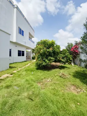 14 hectares à vendre à l'entrée de Notsé, lieu-dit Alinou Yotiglo, à 3 km du goudron RN1 – 2,5 millions FCFA par hectare — photo 17