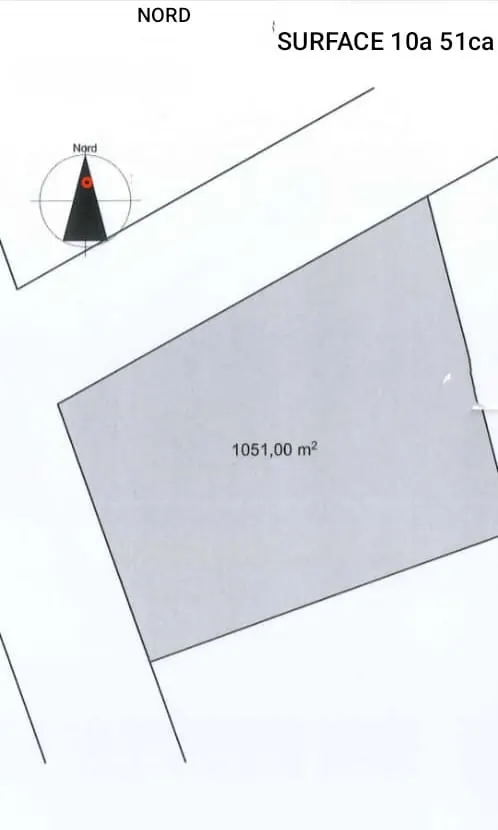 Terrain 1050 m² en vente en angle de rue en bordure du goudron à Assigamé – 1 milliard FCFA