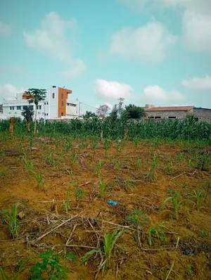 Terrain en vente à Sanguera Afiadégnigba – 12 millions FCFA le lot