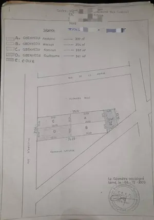 Terrain 2 lots en vente à Nopato (Ancien Grand Rex) – 700 millions FCFA