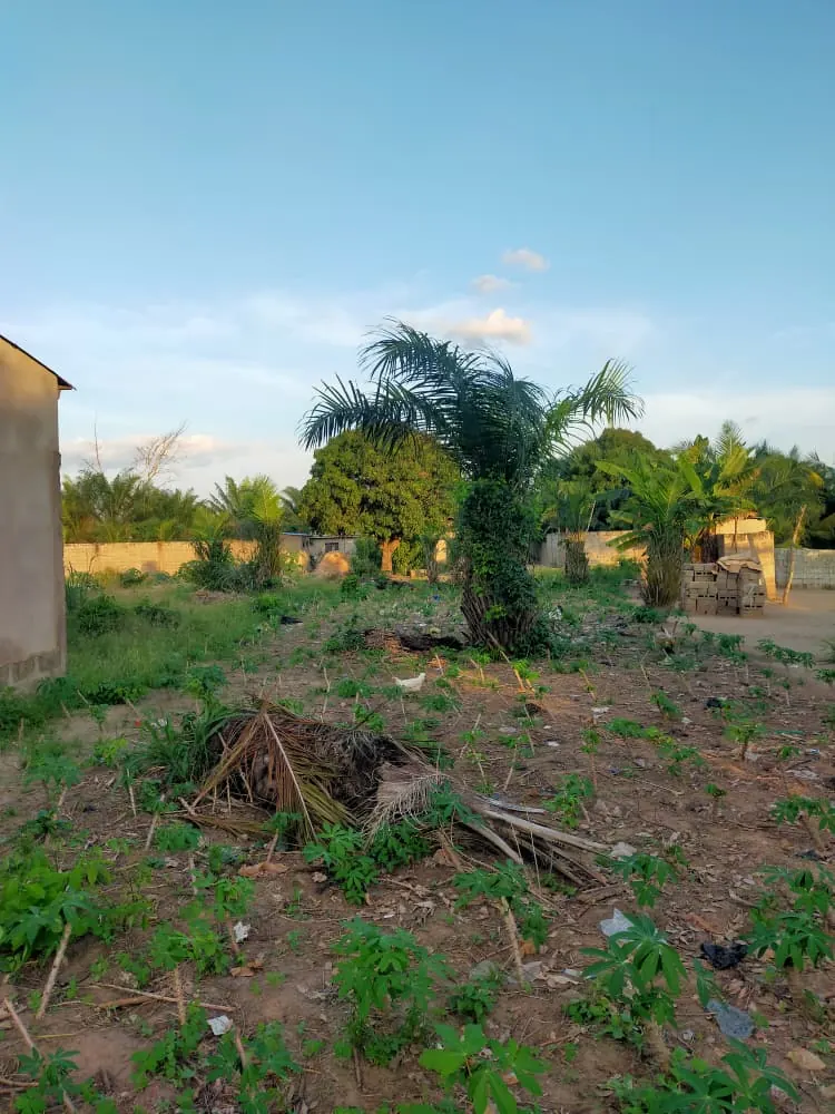 Terrain de plus d'un demi-lot en vente à Adétikopé – 4 millions FCFA
