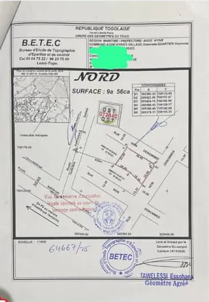 Terrain 956 m² en vente en angle de rue à Adetikopé Soda – 20 millions FCFA