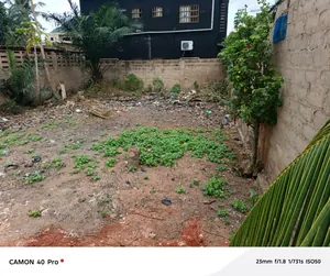 Terrain 1/4 lot en vente à Agoé 2 Lions près de l'ESA – 16 millions FCFA — photo 2