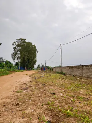 Terrain 5 lots 2996 m² en vente à Sanguéra Marché, angle de rue, à 150 m du goudron – à partir de 25 000 000 FCFA le lot — photo 4