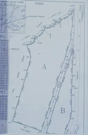 Terrain de 6000 m² en vente en bordure de goudron à Notsè Agbatsi – 3 millions FCFA l'hectare