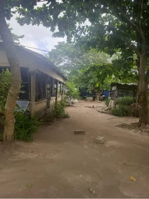 Terrain de 33 ha 43 a 88 ca en vente à Agbelouve Tchito Voutokpa – 3,5 millions FCFA l'unité — photo 5