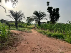 Terrain 579 m² en vente à Kovié Adidomé – à partir de 3 000 000 FCFA — photo 2