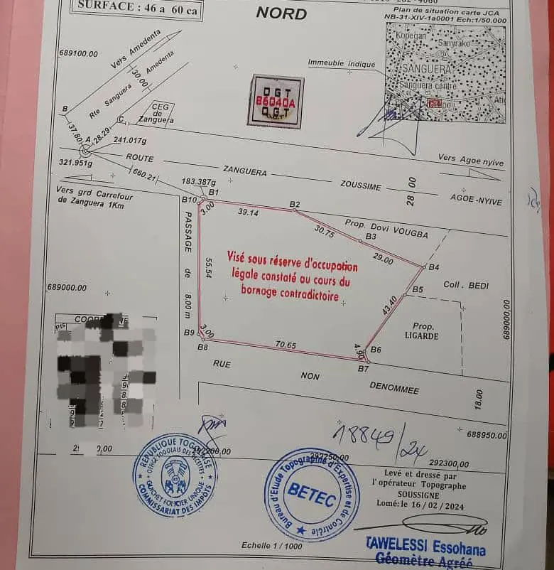 Terrain 10 lots en vente à Zanguéra – 550 millions FCFA