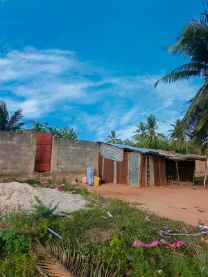 Terrain 1 lot en vente bord du goudron à Zanguera Aképédo – à partir de 25 millions FCFA — photo 4