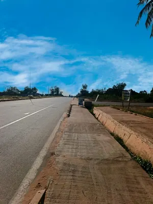 Terrain 1 lot en vente bord du goudron à Zanguera Aképédo – à partir de 25 millions FCFA — photo 5