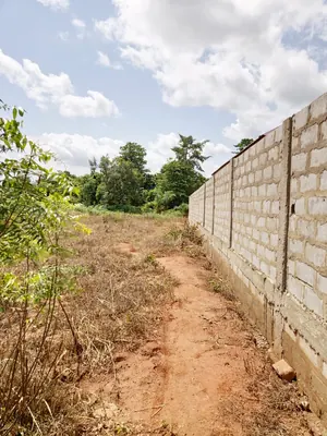 Terrain 2 lots (1200 m²) en vente à Mission-Tové Moekopé – 7 500 000 FCFA le lot — photo 2