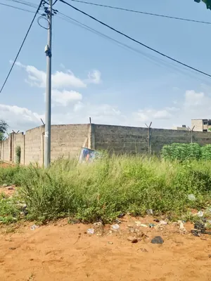 Terrain 2,5 lots en vente à Légbassito Madjikpéto – prix à partir de 35 millions FCFA le lot — photo 3