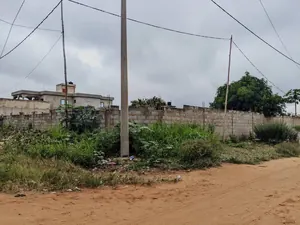 Terrain demi-lot de 300 m² en vente à Ségbé Franco Arabe – 9 millions FCFA — photo 2