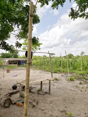 Terrain de 35 hectares en vente à Kevé Dzolo – 1 800 000 FCFA par hectare — photo 3
