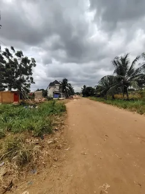 Vente d'un terrain à Zossimé, demi-lot entre Zossimé et Amarenta, proche du Rond-Point Zossimé – 10 millions FCFA — photo 5