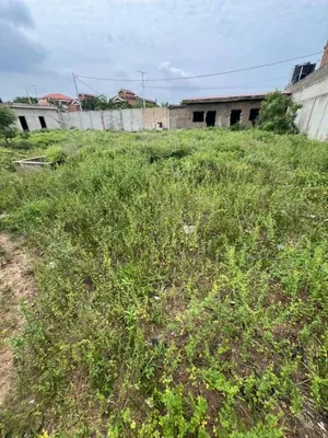 Terrain 1247 m² en vente à Baguida Aquereburu – 150 millions FCFA — photo 3