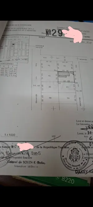 Terrain 1 lot de 600 m² en vente à Noukafu Forevér, proche du goudron – 75 millions FCFA — photo 2