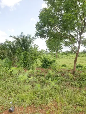 Terrain 2 lots en vente en bordure du goudron à Badja-Savé – 8 000 000 FCFA