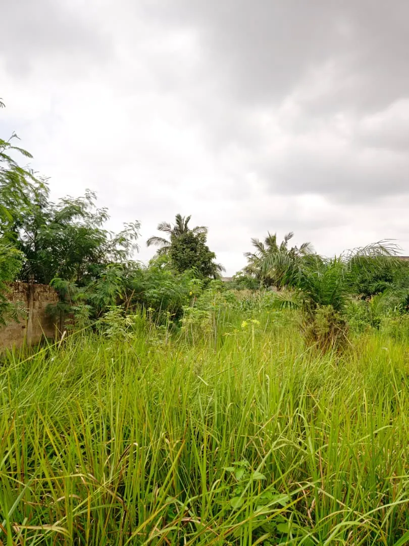 Terrain 1 lot en vente à Agoè Sogbossito face grande route de 30m – 27 millions FCFA