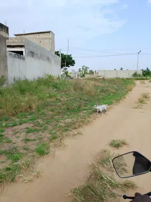 Vente de terrain à Legbassito Ahonkpoé, 2 lots collés, 1200 m², face à l'école primaire – 15 millions FCFA — photo 7