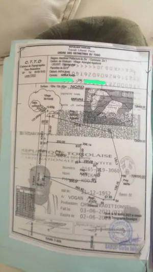 Terrain 10 hectares en vente en bordure de goudron à Adangbé Kondji, préfecture du Zio – prix à partir de 1 800 000 FCFA par hectare