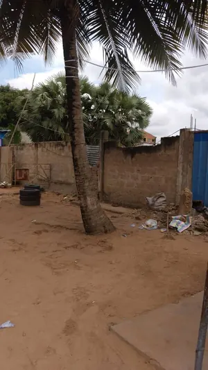 Vente de terrain à Noépé, 2 lots et demi (1330 m²), face goudron, ouvert sur 2 voies – 30 millions FCFA à débattre — photo 3