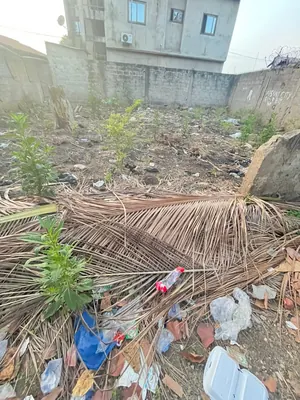 Terrain de 150 m² en vente à Totsi Gbinkome – 15 millions FCFA — photo 2