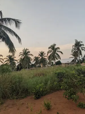 Terrain 4 lots en vente à Akato Viépé – 17 millions FCFA le lot — photo 2