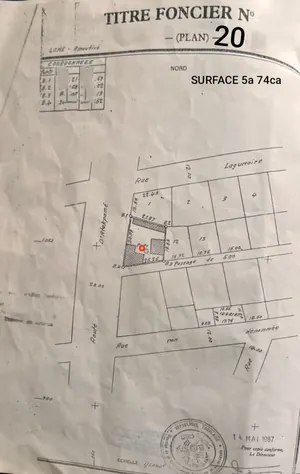 Terrain 1 lot en vente en angle de rue sur la RN1 à Amoutievé – 390 millions FCFA