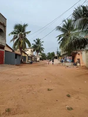 Vente d'un terrain à Agoè Logopé, demi-lot, 300 m², titre foncier personnel – 15 millions FCFA — photo 4