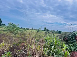 Vente de terrains à Aképé Assiamagbéta, 24 lots disponibles à partir d'un demi-lot – 8 millions FCFA le lot — photo 2