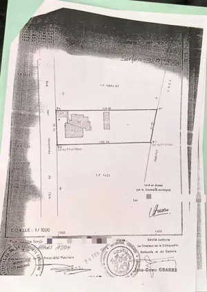 Terrain 6 lots et demi à vendre à Baguida Luxolin – 70 millions FCFA le lot