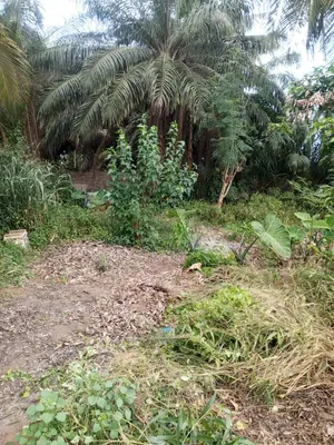 Terrain 2 lots à vendre à Wonyomé Adidogomé – 35 millions FCFA le lot — photo 3