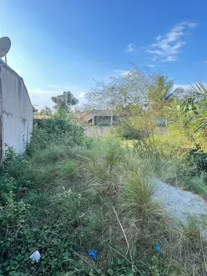 Vente d'un terrain à Légbassito Zovadjin, 342 m², clôturé, derrière Pharmacie Gratitude – 13 millions FCFA — photo 5