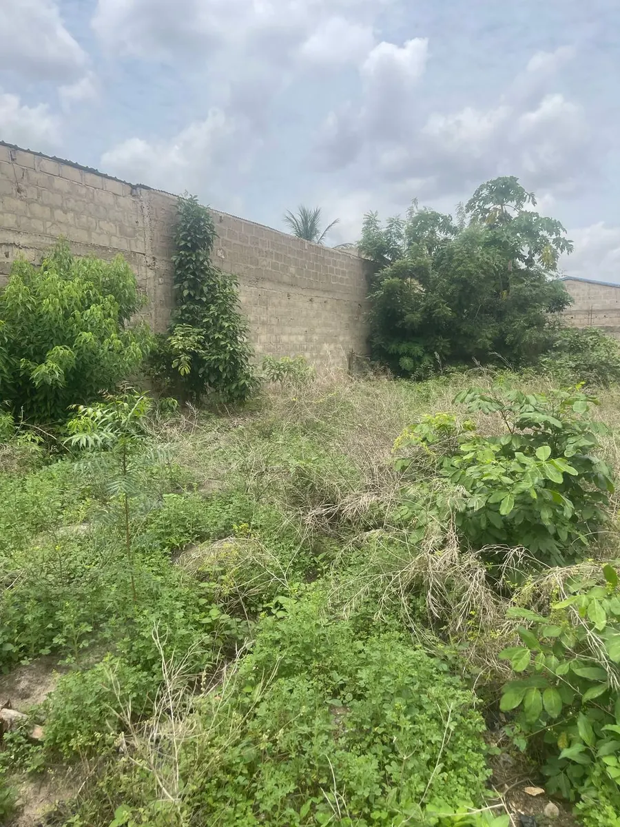 Terrain 300 m² en vente à Adetikopé Kladjémé – 7 millions FCFA
