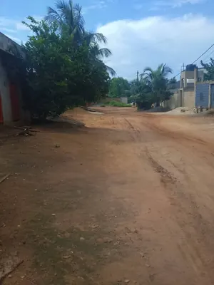 Terrain 270 m² en vente à Legbassito Madjikpeto – 17 millions FCFA — photo 4