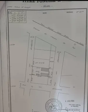 Terrain 750 m² en vente à Nukafu (secteur Super Taco) – 110 millions FCFA