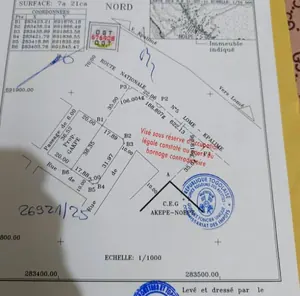 Terrain en vente au bord du goudron en angle de rue à Noépé – 45 millions FCFA