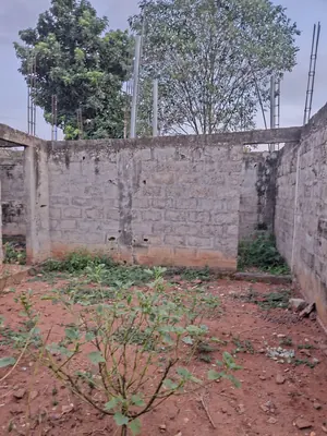 Vente d'une villa à Legbassito Assiko, 4 chambres + dépendance, demi-lot 300 m², à 1 km du goudron – 22 millions FCFA (dernier prix) — photo 6