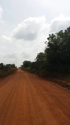 Terrain agricole de 636 hectares en vente à Badja – 2,5 millions FCFA l'hectare — photo 2