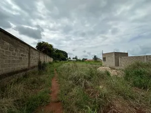 Terrain 2 lots de 1200 m² en vente au bord de la voie Légbassito-Tové à Apessito – 25 millions FCFA le lot — photo 4