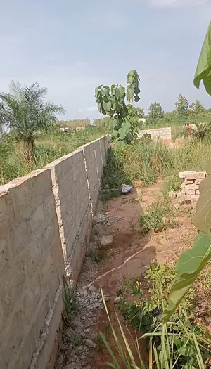 Terrain 6,5 lots en vente en angle de rue à Kpala Djigbé – 12 millions FCFA le lot — photo 4