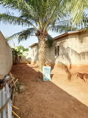 Maison 3 chambres de 390 m² en vente à Apessito La Paix – 25 millions FCFA — photo 2