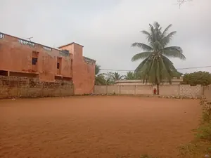 Terrain 1 lot en vente à Atilamonou – 28 millions FCFA — photo 3