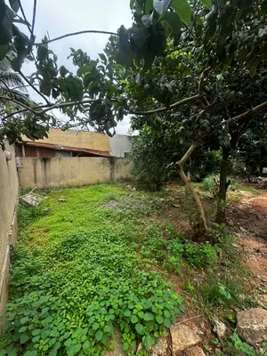 Maison sur demi-lot de 224 m² à vendre à Adidogomé Obena – 13 millions FCFA — photo 2