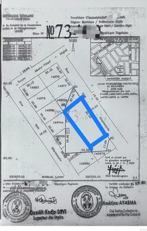 Terrain 3 lots 1800 m² en vente à Ségbé Douane, à 40 m du goudron – 35 millions FCFA l'unité — photo 3