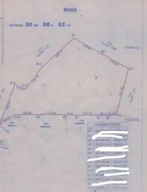 Terrain de 200 000 m² en vente à Badja, proche du goudron Lomé-Kpalimé – prix à partir de 22,5 millions FCFA
