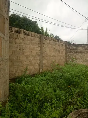 Terrain 300 m² à vendre à Kloblatemé – 9 millions FCFA — photo 2