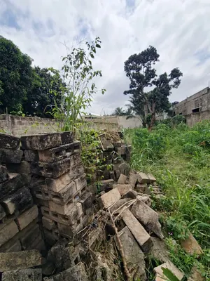 Vente d'un terrain à Agoè Legbassito Assiko, demi-lot clôturé de 291 m², près de l'église Assemblée de Dieu – 15 000 000 FCFA — photo 3